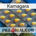 Kamagara cialis2